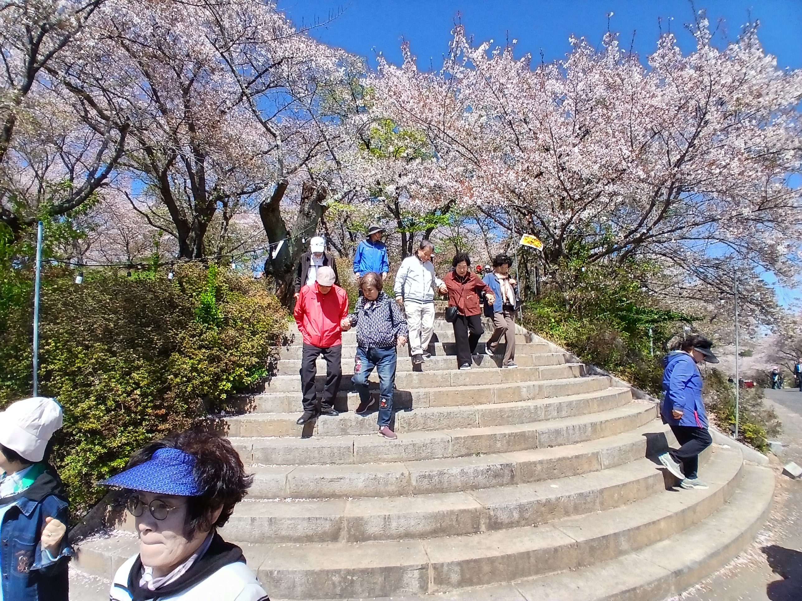 KakaoTalk_20260407_111330795_02.jpg