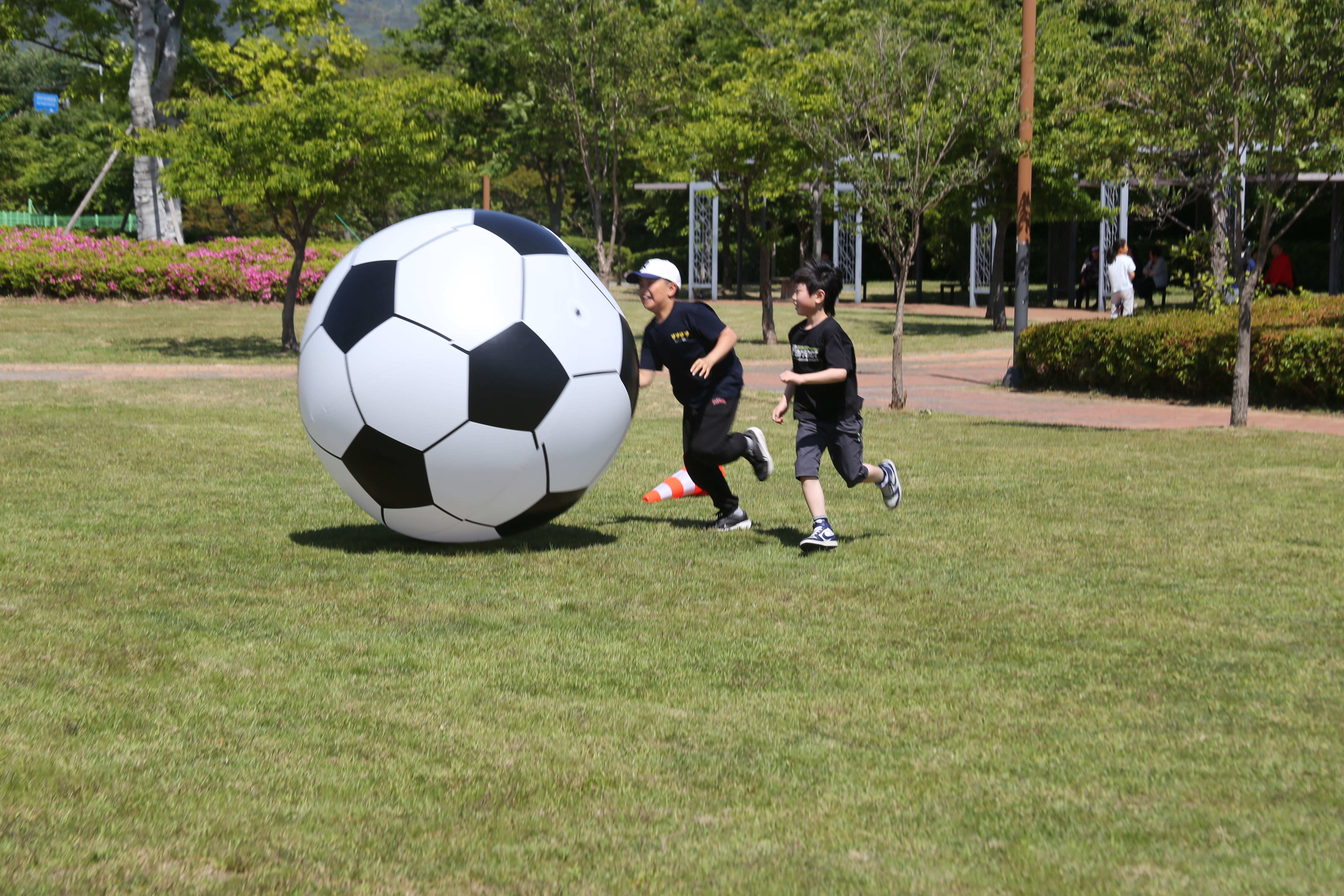 IMG_2450.JPG